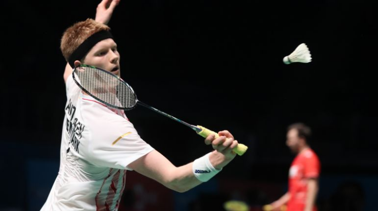 球队的整体 球队的整体